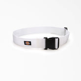 Painter's Heavy-Duty Work Tool Belt, 2"-Men|Women|Dickies