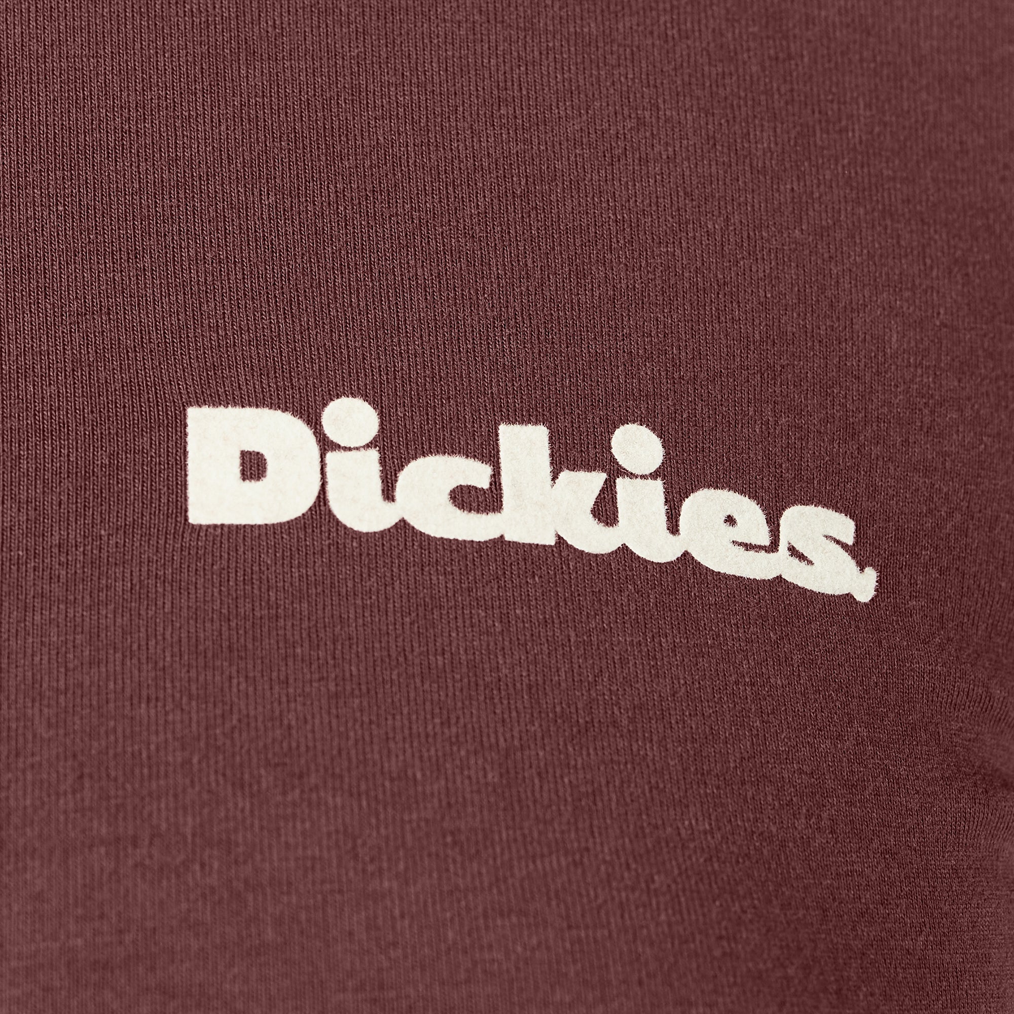 Women’s Slayden Ringer Tee-Women|Dickies