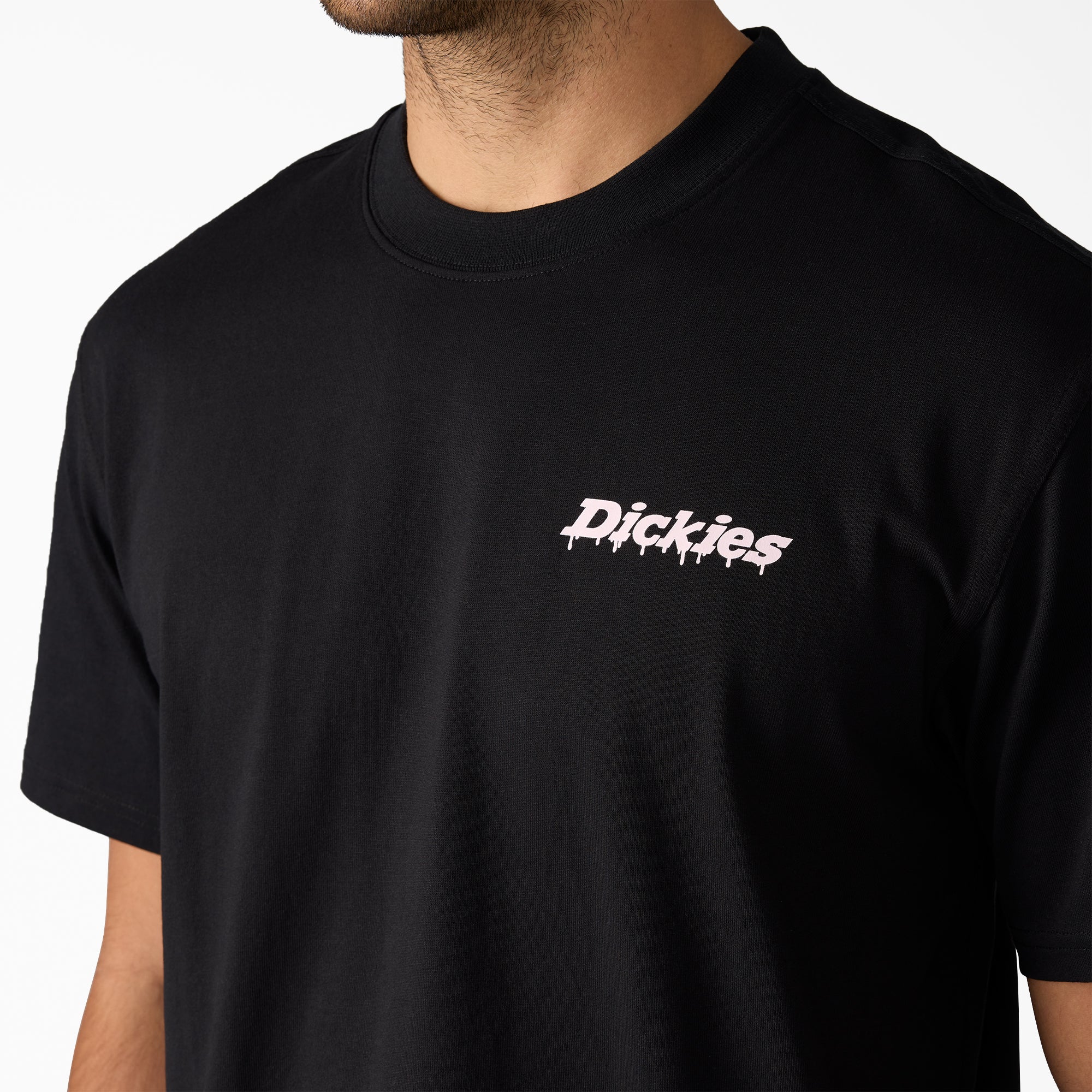 Statesville Graphic T-Shirt-Men|Sale|Dickies