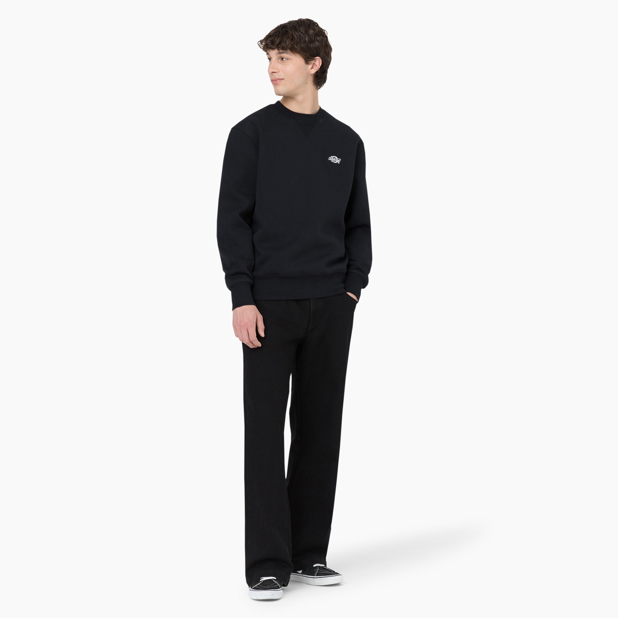 Dickies Skateboarding Wingville Loose Fit Jeans-Men|Dickies